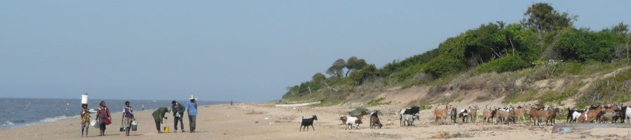 p1130246_praia.jpg
